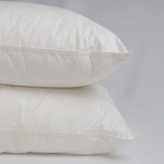 Scatter cushion Inner Feather down 65x65cm